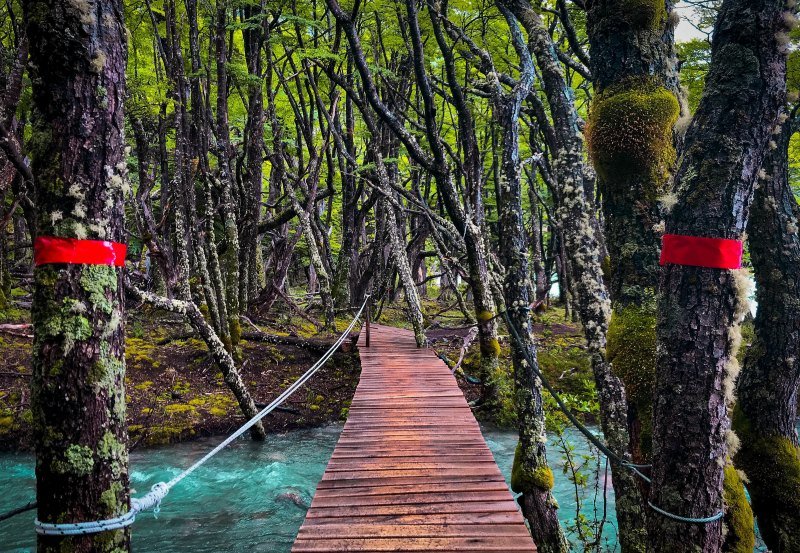 Die schönsten Argentinien Nationalparks: Entdecken Sie die atemberaubende Natur des Landes 1 Argentinien Nationalparks
