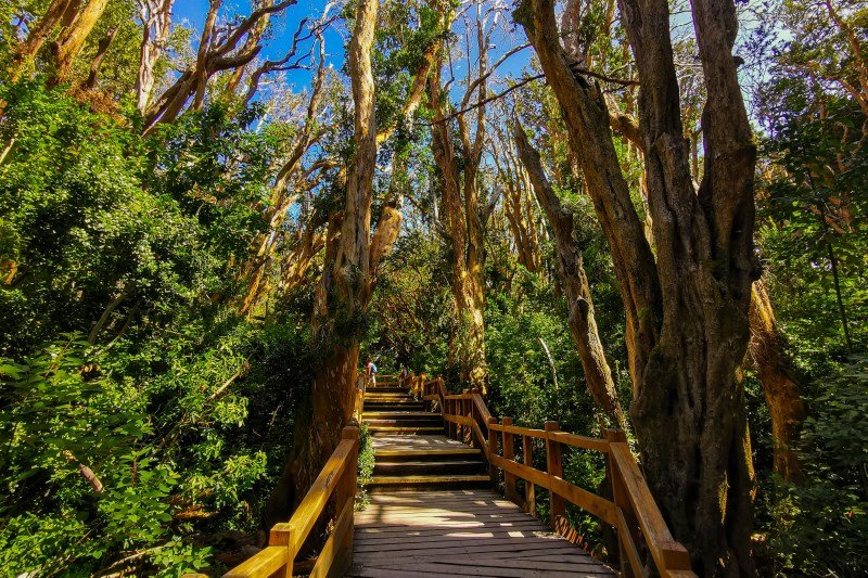 Welche sind die besten Wanderwege und Nationalparks in Patagonien? – Ein Experte gibt Auskunft 1 Patagonien Wanderwege