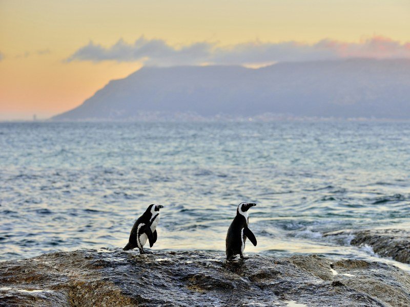 Argentinien Sehenswuerdigkeiten 12 - Argentinien Individual