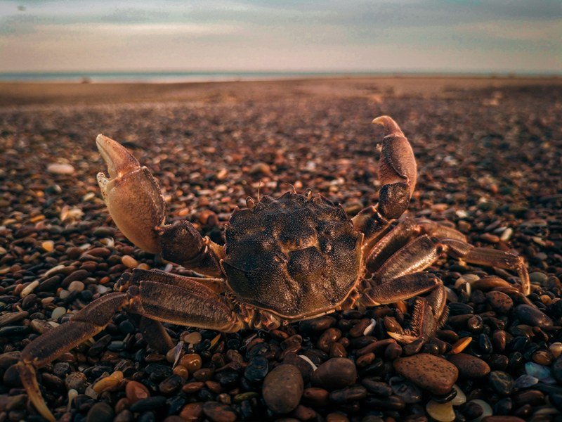 Argentinien Sehenswuerdigkeiten 9 - Argentinien Individual