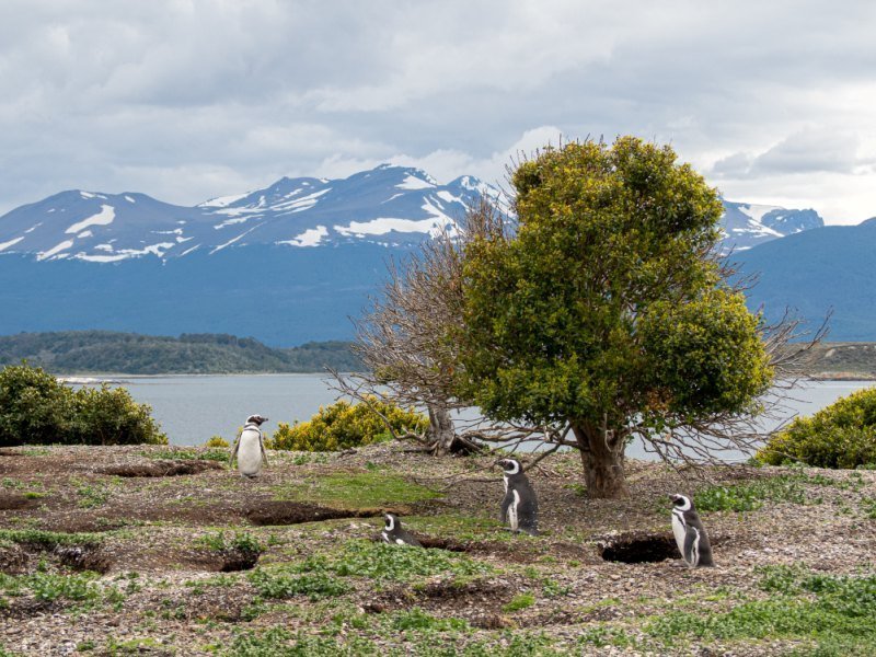 3 Wochen Argentinien Explorer Rundreise 6 3 Wochen Argentinien Explorer Rundreise