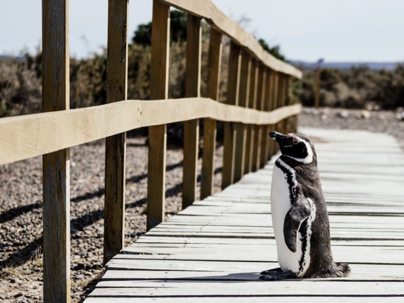 3 Wochen Argentinien Explorer Rundreise 1 3 Wochen Argentinien Explorer Rundreise