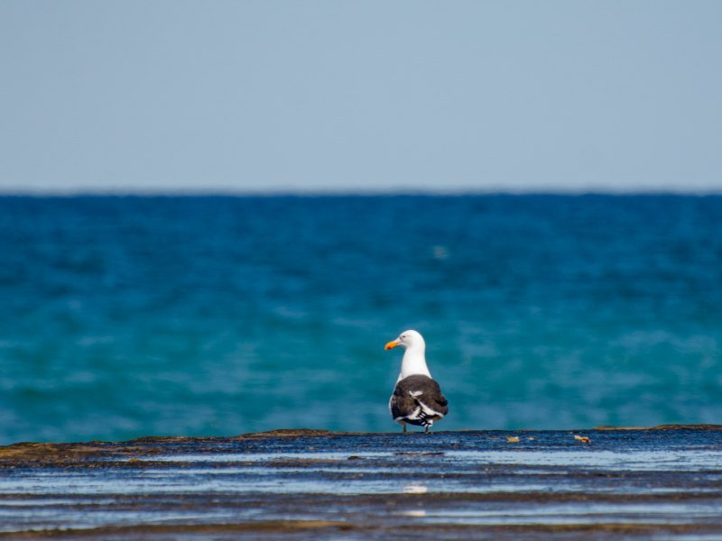 3 Wochen Argentinien Explorer Rundreise 8 3 Wochen Argentinien Explorer Rundreise