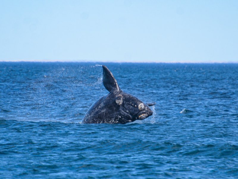 3 Wochen Argentinien Explorer Rundreise 9 3 Wochen Argentinien Explorer Rundreise