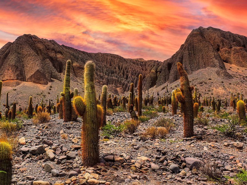 3 Wochen Argentinien Explorer Rundreise 17 3 Wochen Argentinien Explorer Rundreise