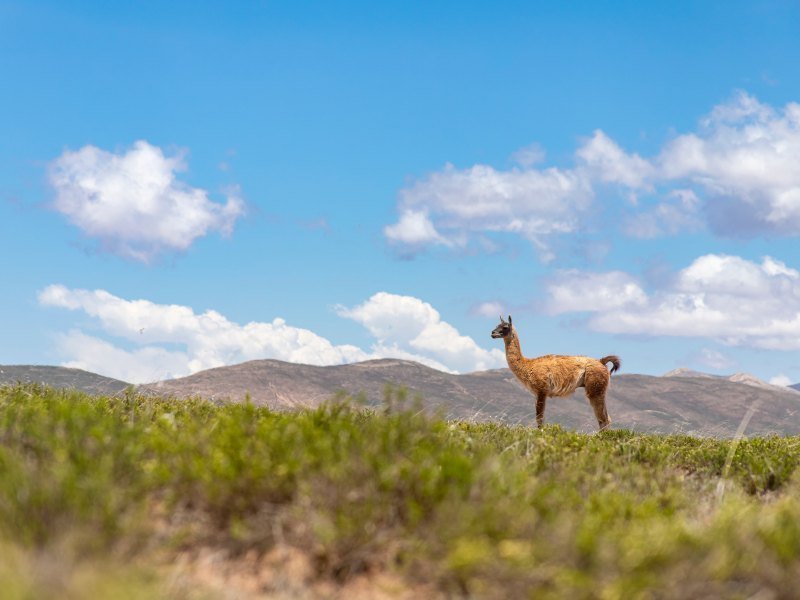 3 Wochen Argentinien Explorer Rundreise 11 3 Wochen Argentinien Explorer Rundreise