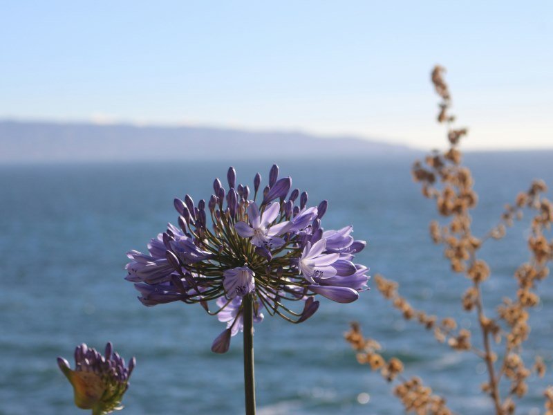 3 Wochen Südamerika Rundreise 9 3 Wochen Südamerika Rundreise
