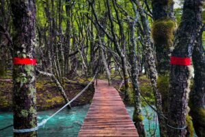 Blog 210 Los Glaciares