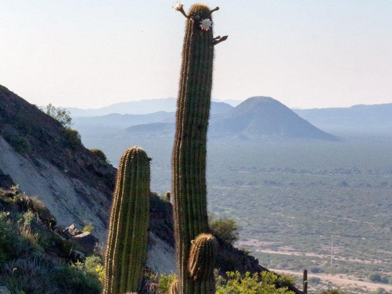 2 Wochen Von Mendoza nach Salta 7 2 Wochen Von Mendoza nach Salta