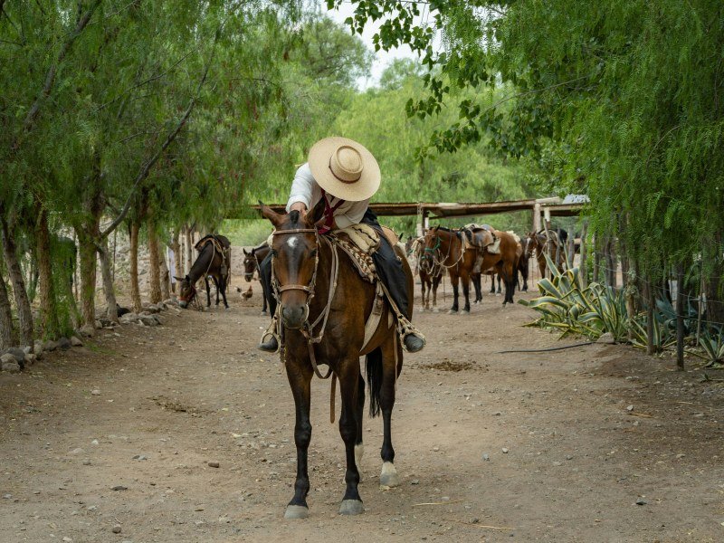 Patagonien Ureinwohner: Geschichte und Kultur der indigenen Völker 2 Patagonien Ureinwohner