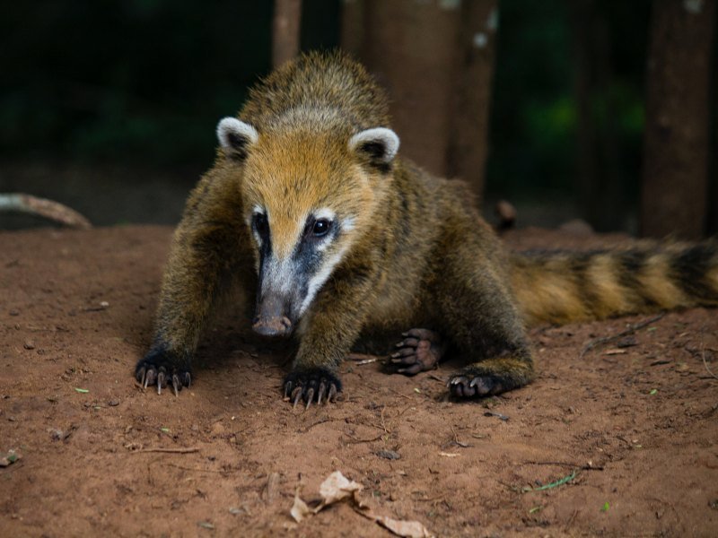 2 Wochen Argentinien Highlights Rundreise 13 2 Wochen Argentinien Highlights Rundreise