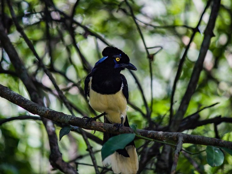 2 Wochen Argentinien Highlights Rundreise 15 2 Wochen Argentinien Highlights Rundreise