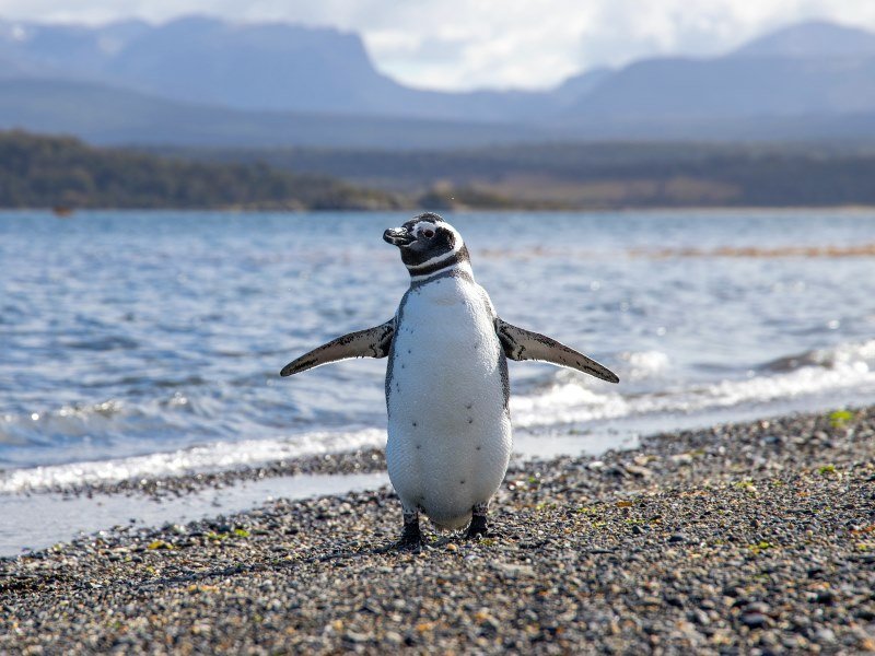 Top 20 Patagonien Sehenswürdigkeiten für eine tolle Rundreise 21 Nationalpark Monte Leon - Argentinien Individual